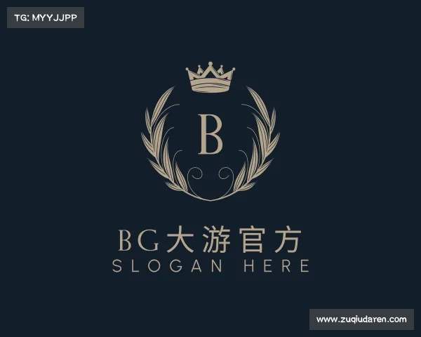 了解bg大游官方